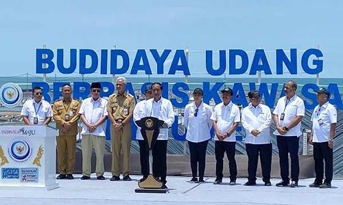 Diresmikan Jokowi, Tambak Udang di Kebumen Bakal Jadi Percontohan Nasional