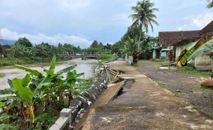 Puluhan Meter Tanggul Sungai Dengkeng di Bayat Klaten Ambrol, Awas Banjir!