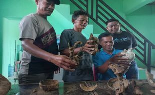 Cari Rumput di Lahan Tol Solo-Jogja, Warga Wonoboyo Klaten Temukan Artefak Kuno