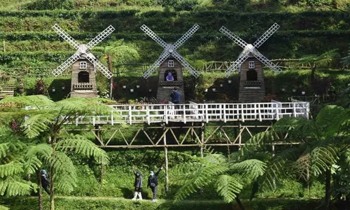 Kebun Teh Pagilaran Batang, Dilengkapi Spot Foto Kincir Angin ala Belanda