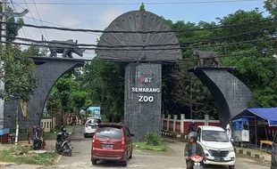 Wow! Libur Lebaran, Kunjungan Semarang Zoo Capai 127.000 Wisatawan