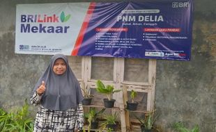 Jadi AgenBRILink, Ibu Muda Ini Rasakan Manfaat Pemberdayaan Holding Ultra Mikro