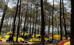 5 Rekomendasi Tempat Wisata di Mojokerto, Cocok Buat Healing