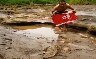 Viral! Seorang Pria Berusaha Tangkap Buaya di Pinggir Kali Oya Gunungkidul