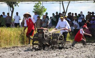 Menteri Syahrul Yasin Limpo Mengaku Tak Tahu Korupsi di Kementerian Pertanian