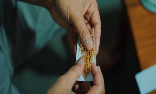 Rokok Tingwe Kian Populer, Petani Tembakau Temanggung Siap Berdikari