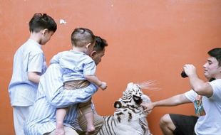 Lebaran, Anak Raffi Ahmad Main Bareng Harimau Milik Alshad Ahmad