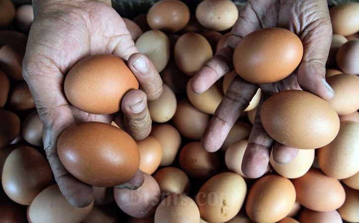 Harga Naik Terus, Telur Ayam tetap Primadona Dapur Ibu