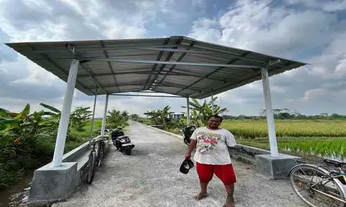 Begini Guyub Rukun Petani Bolali Wonosari Klaten agar Panen Padi Selalu Cuan