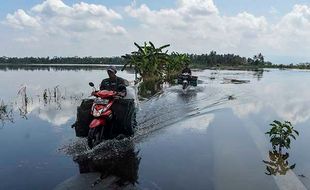 Ribuan Hektare Lahan Kawasan Lumbung Padi di Ciamis Terendam Banjir