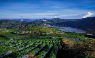 Kenapa Dieng Disebut Negeri Para Dewa, hingga Kini Kerap Dikunjungi Wisatawan