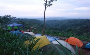 Desa Wisata Bageng Pati, Daerah Penghasil Jeruk Pamelo