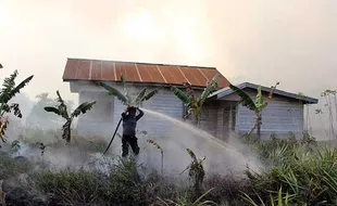 Ratusan Hektare Lahan di Dumai Riau Terbakar, Api Menjalar ke Permukiman Warga