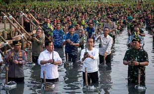 Jokowi Bersama Prabowo, Panglima & Kapolri Nyemplung Tanam Mangrove di Jakarta