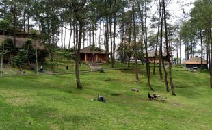 Vanaprastha Park, Tempat Menginap Asyik di Kompleks Candi Gedong Songo Semarang