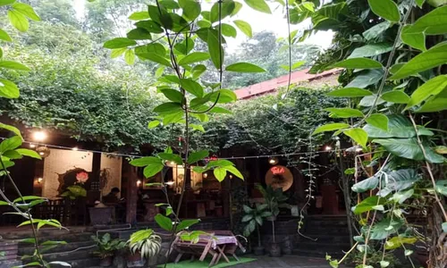 Warung Teduh Salatiga, Tempat Bersantap Sambil Ditemani Rindangnya Pepohonan