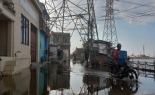 Waduh! 2 Pekan Rob Genangi Tambaklorok Semarang, Warga Pertanyakan Sheet Pile