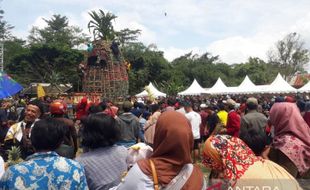 Seru! Ada Festival Nanas di Kaki Gunung Kelud Kediri, Ribuan Nanas Diperebutkan