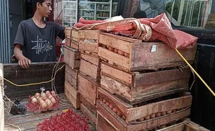 Alhamdulillah, Harga Telur Ayam di Banyumas Mulai Turun