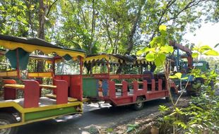 Tak Kuat Menanjak, Kereta Kelinci Berpenumpang Lansia Terguling di Bayat Klaten