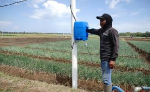 Ikut Program Electrifying Agriculture PLN, Petani Bantul Hemat Biaya hingga 90%