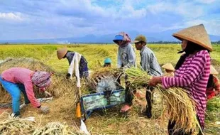 Budaya Gotong Royong dan Kearifan Lokal dalam Tradisi Mretelung di Purbalingga