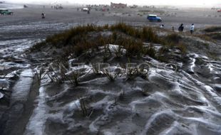 Fenomena Unik! Saking Dinginnya, Muncul Embun Es di Lautan Pasir Bromo