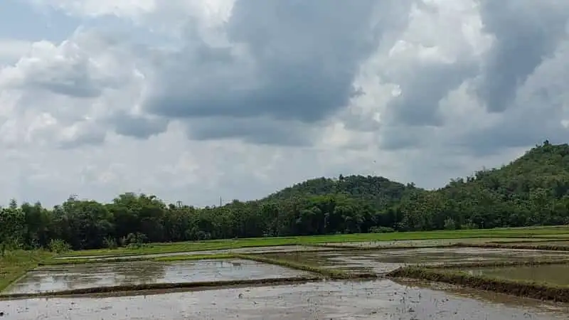 Dominan Berawan, Cek Prakiraan Cuaca Wonogiri Sabtu 5 Juli 2025