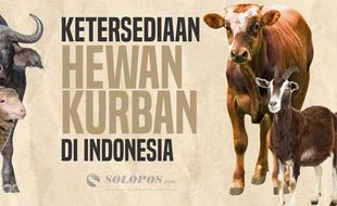 Ketersediaan Hewan Kurban di Indonesia dari Tahun ke Tahun