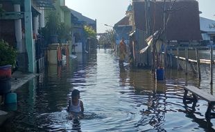 Ini Kata Pakar soal Upaya Pemkot Semarang Tangani Banjir Rob