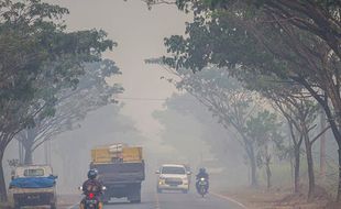 Dampak Kebakaran Hutan & Lahan, Wilayah Banjarbaru Kalsel Diselimuti Kabut Asap