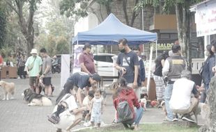 Ratusan Anjing dan Kucing Piaraan Warga Divaksin Gratis di FKIK UKSW Salatiga