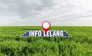 Info Lelang Tanah 1.860 Meter Persegi di Wonosari Klaten, Limit Rp151 Juta