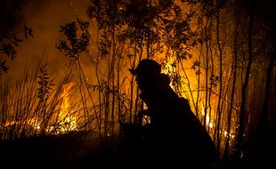 Kebakaran Hutan & Lahan di Banjarbaru Kalsel, Upaya Pemadaman Hingga Malam Hari