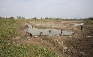 Embung di Indramayu Mengering, Puluhan Hektare Sawah Terancam Gagal Panen