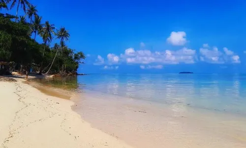 Dijuluki Carribean van Java, 5 Wisata Menarik yang Ada di Karimunjawa Jepara