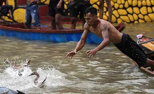 Serunya Lomba Tangkap Bebek Rangkaian Perayaan Peh Cun di Tangerang