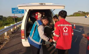 Laka Maut Mobil Elf Seruduk Truk di Tol Sragen, 2 Orang Dipastikan Meninggal