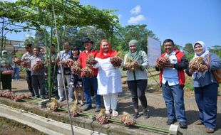 Wali Kota Mbak Ita Inginkan Semarang Bisa Pasok Bawang Merah hingga Hinterland