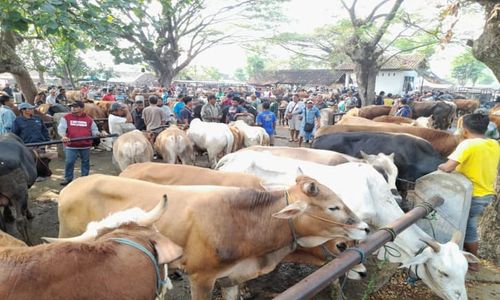 Pasar Hewan Nglangon Sragen Baru akan Direlokasi pada 2025