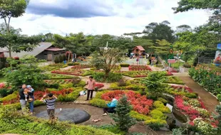 Wonoland, Wisata Hits di Wonosobo Selain Dieng