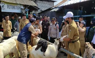 Tenang! Zero Penyakit PMK dan LSD, Beli Hewan Kurban di Pasar Pon Ambarawa Aman