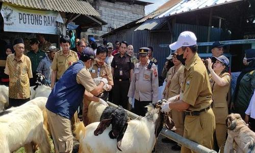 Tenang! Zero Penyakit PMK dan LSD, Beli Hewan Kurban di Pasar Pon Ambarawa Aman