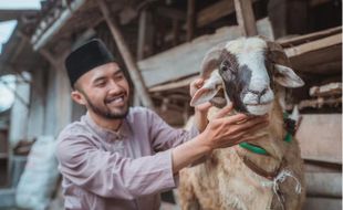 Arti Mimpi Menyembelih Hewan Kurban Tak Berkaitan dengan Hari Raya Iduladha