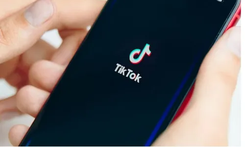 TikTok Ingin Bertemu Presiden Jokowi Bahas Ini