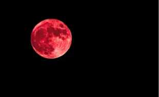 Apa Itu Strawberry Moon 4 Juni 2023, Ini Penjelasannya