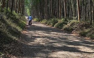 Jalan Penghubung Dusun di Bergas Semarang Rusak, Padahal Kerap Diaspal