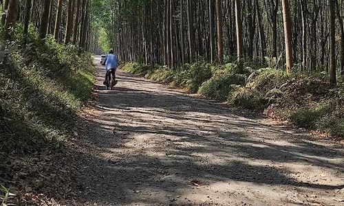 Jalan Penghubung Dusun di Bergas Semarang Rusak, Padahal Kerap Diaspal