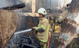 Kandang Ternak di Jomboran Klaten Terbakar, 3 Sapi Sempat Terjebak Api