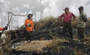 Penyebab Kebakaran Hutan Gunung Arjuno-Welirang: Sengaja Dibakar Pemburu Satwa